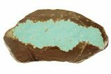 Polished Turquoise Slab - Number Mine, Carlin, NV #244466-1